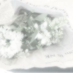 some white flowers sitting on top of a piece of paper with writing in the background