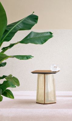 a table with a plant in the background and a white flower on it's top