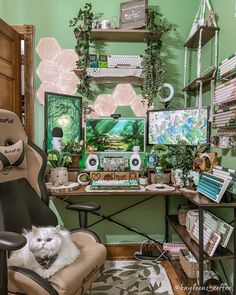 a white cat sitting on top of a chair in front of a desk filled with pictures