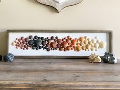 shells are arranged in a row on top of a wooden table next to two seashells