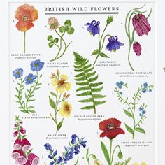 the british wild flowers poster is displayed in a white frame