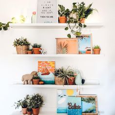 three white shelves with plants and pictures on them