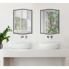 there are two sinks in the bathroom with mirrors on the wall above them and a potted plant next to it