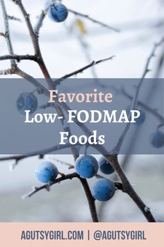 blue berries on a branch with the words favorite low - fodmap foods