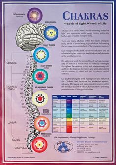 An A3 poster that details the 7 Chakras of the body with information about: Name Location Colour Emotion Endocrine gland Psychological Function Area Governed Freeform Dreads, Spiritual Elements, Yoga Chakras, Human Energy, Chakra Chart, Yoga Shala