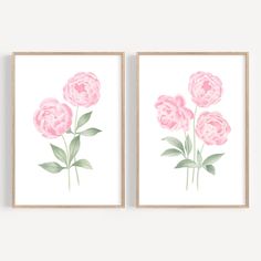 two pink flowers on white background framed in wooden frames, one with green leaves and the other with watercolor