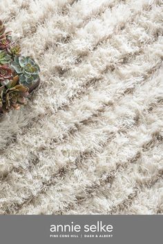 an arrangement of succulents and other plants on a shaggy rug with the words annie selke