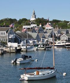 boats are docked in the water near houses