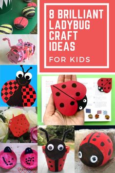 ladybug crafts for kids to make