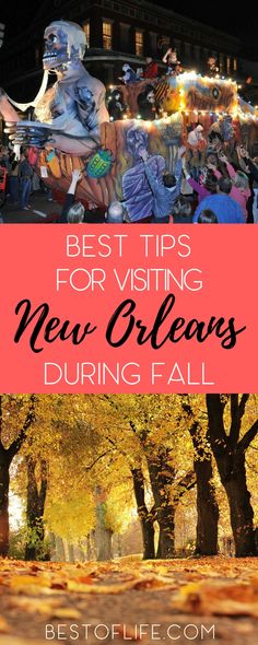 the best tips for visiting new orleans during fall