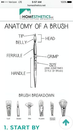 the anatomy of a brush is shown in this screenshoter's handout