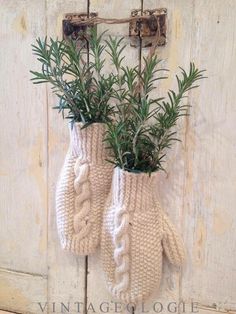 two knit mittens hanging on a wall with plants in them