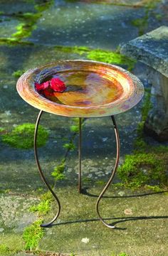 a bird bath is sitting on the ground