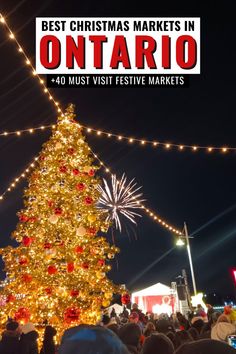 the best christmas markets in ontario