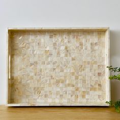 a tray made out of mother of pearl shells on a wooden table next to a potted plant