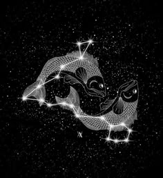 a black and white drawing of two fish in the sky with stars around them,