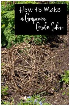 a bird nest made out of twigs in the garden with text overlay that reads how to make a grapevine garden sphere