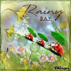 two ladybugs sitting on top of green grass with flowers and raindrops