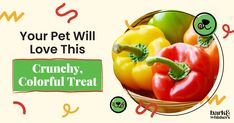 a basket filled with lots of different types of vegetables next to a sign that says your pet will love this crunchy, colorful treat