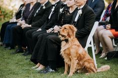 a group of people sitting next to each other in chairs with a dog on their lap