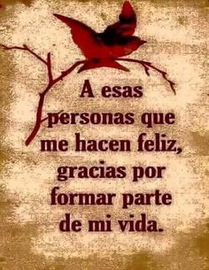 a red bird sitting on top of a branch with the words in spanish above it