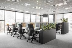 an empty office with lots of desks and plants in the middle of the room