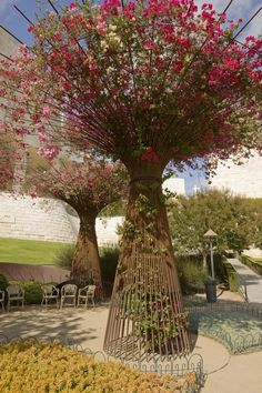 a large tree with pink flowers growing out of it