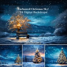 christmas tree and bench with lights in the snow at night, digital background for photoshopping