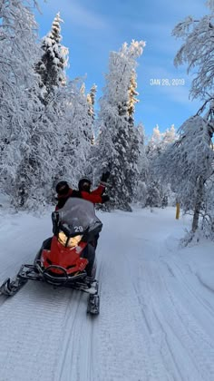 a man riding on the back of a snowmobile down a snow covered forest filled with trees