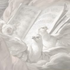 two white doves are sitting next to an open book with music sheets on it