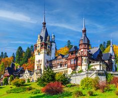 an old castle in the middle of a forest