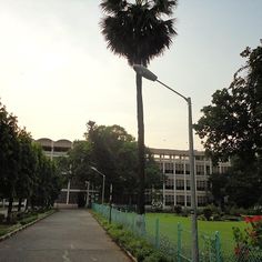 the sun is setting over a park with palm trees and buildings in the back ground