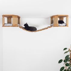 two cats sitting on top of wooden shelves in a room with white walls and plants