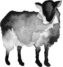 a black and white photo of a sheep