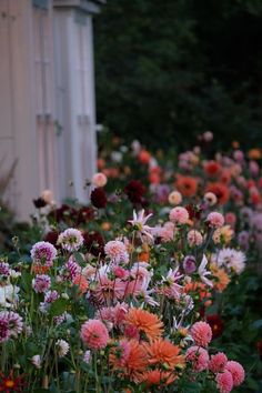 many different colored flowers in front of a house