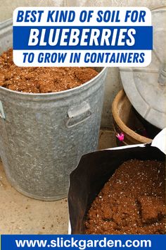 the best kind of soil for blueberries to grow in containers with text overlay reading best kind of soil for blueberries to grow in containers