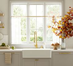 a kitchen with white cabinets and gold faucet, window over the sink is filled with autumn leaves