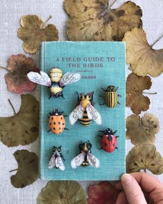 a hand holding a book with six different bugs on it