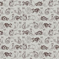 a group of cats sitting next to each other on top of a white wallpaper