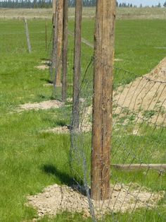 an animal that is standing in the grass behind a fenced in area with green grass