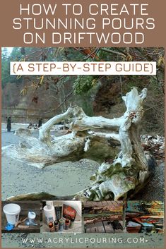 an image of how to create stunning stumps on driftwood