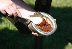 a person holding a bowl with food in it