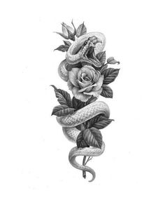 a snake and rose tattoo design on a white background