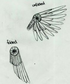 two drawings of wings with words on them, one has an eyeball and the other has