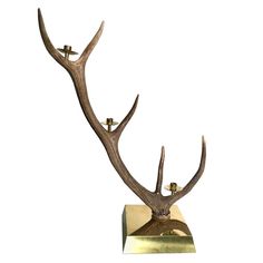 two deer antlers are on top of a gold base and one is facing the opposite direction