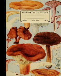 "aesthetic notebook cover" 
"vintage posters" 
"notebook cover ideas" 
"vintage aesthetic" 
"vintage journal" 
"mushroom notebook"
"mushroom pen"
"decomposition notebook"
"mushroom research journal"
"mushroom aesthetic notebook" Mushroom Botanical Illustration, Journal For School, Notebook Cover Design, Lined Journal, Cottagecore Aesthetic, Composition Notebook, Paper Cover, Good Notes