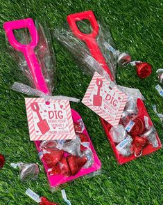 two bags filled with valentine's day candy on top of a green grass covered field