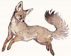 a drawing of a fox jumping in the air with its front paws on it's back legs