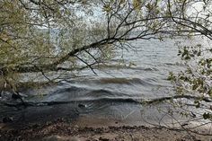 the water is very choppy and there are some trees in front of it on the shore