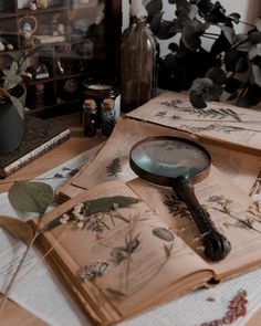 a magnifying glass sitting on top of an open book next to some plants